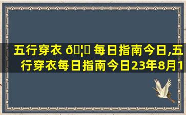 五行穿衣 🦊 每日指南今日,五行穿衣每日指南今日23年8月16